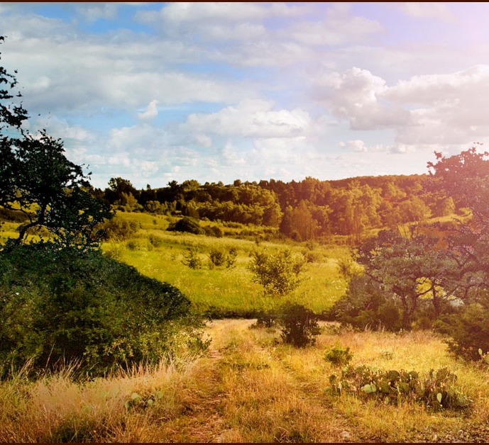How to buy land in Texas Hill Country